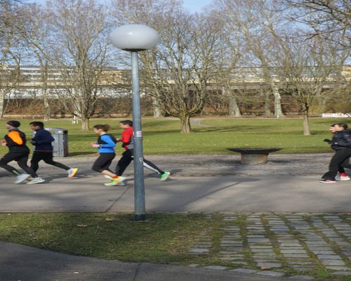 Happy active group of people running in park